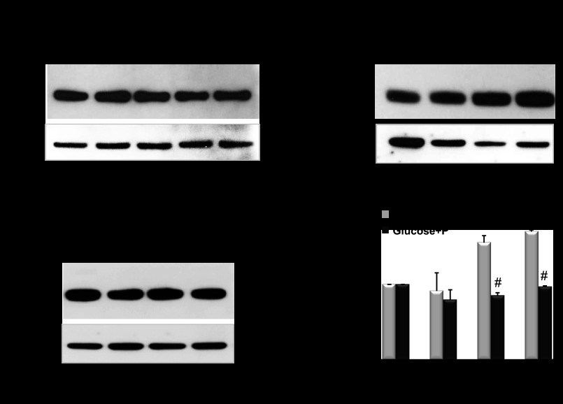 Fig. 9.