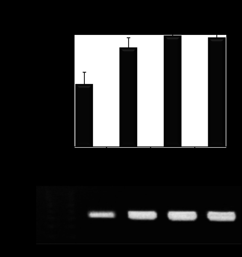 Fig. 8.