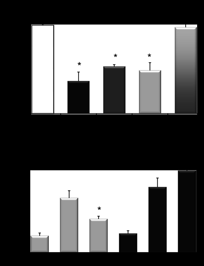 Fig. 11.