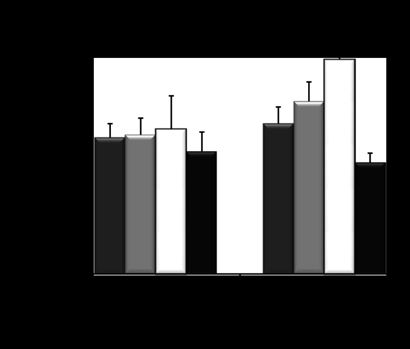 Fig. 12.