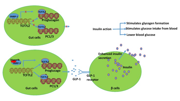 Figure 7.