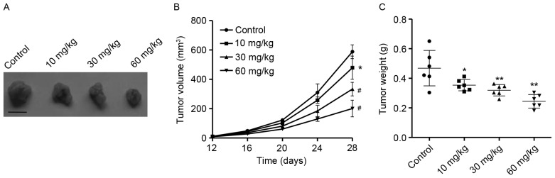 Figure 6.