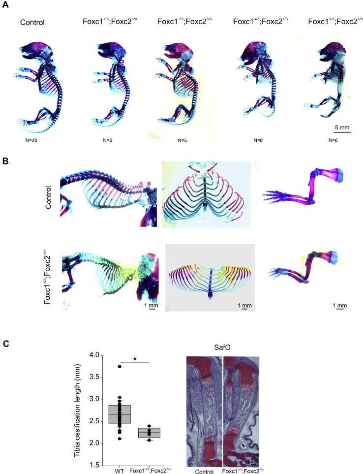 Figure 6