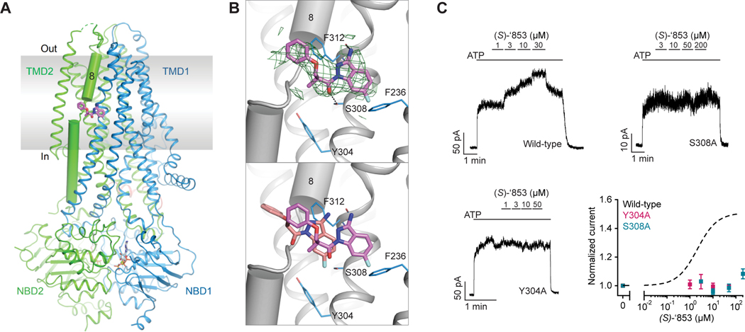 Figure 3: