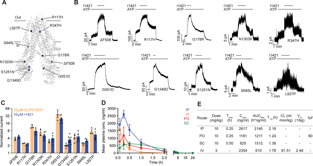 Figure 5: