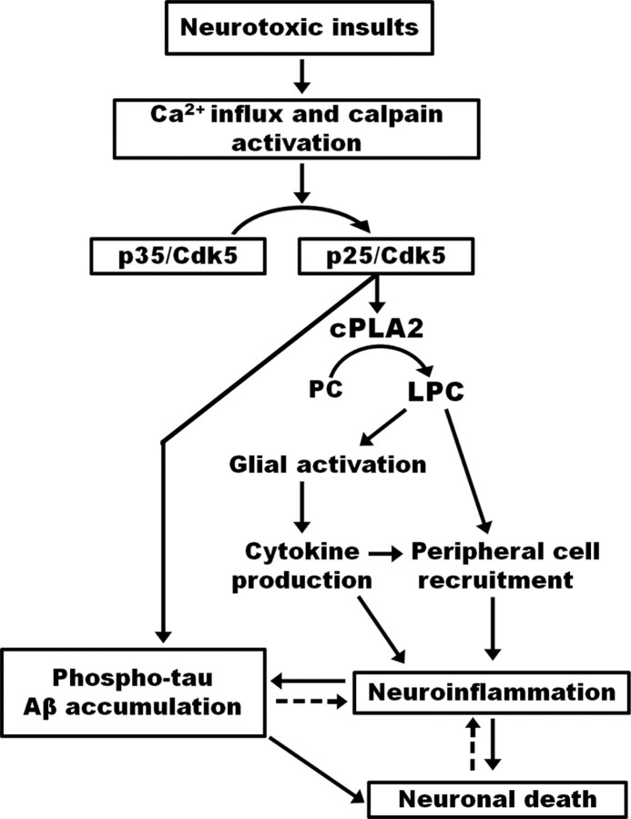 Figure 9.