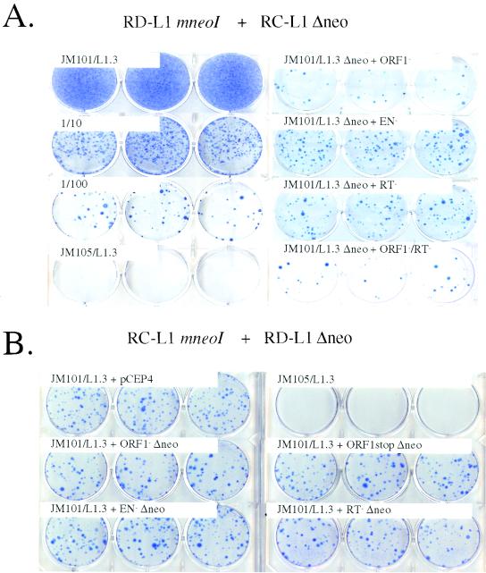 FIG. 3