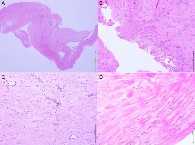 Figure 3: