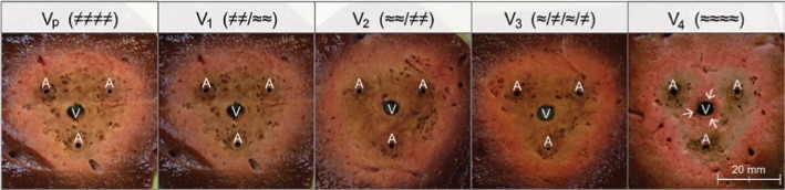 Figure 3: