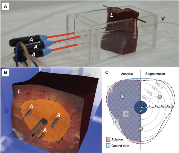 Figure 1: