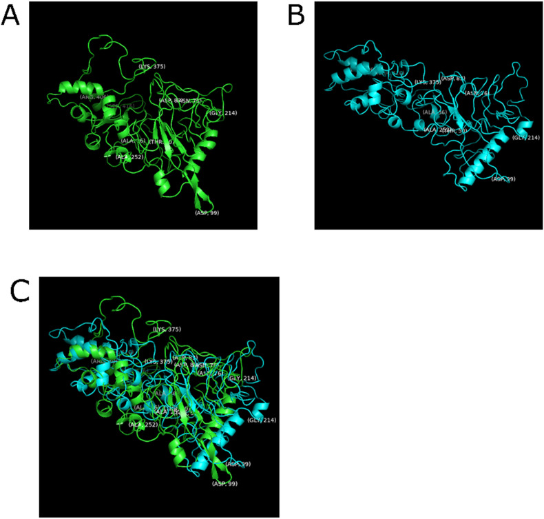 Fig. 7