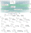 Extended Data Fig. 1 |