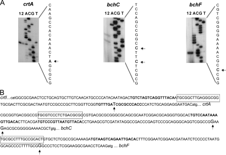 FIG. 3.