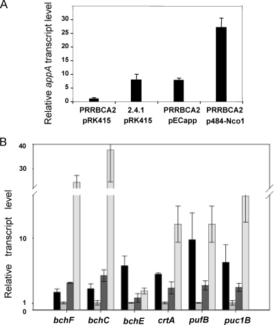 FIG. 1.