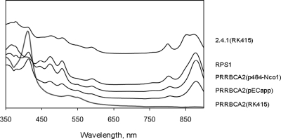 FIG. 5.