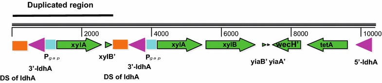 Fig. 2