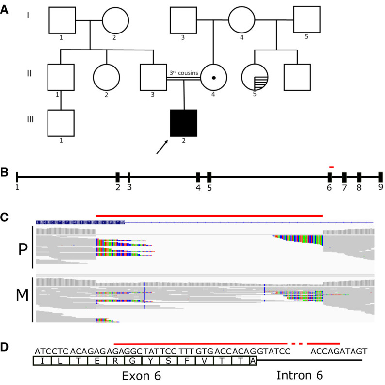 Figure 2.