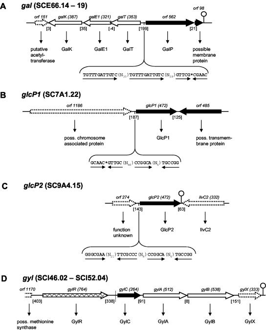 FIG. 5.