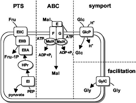 FIG. 1.