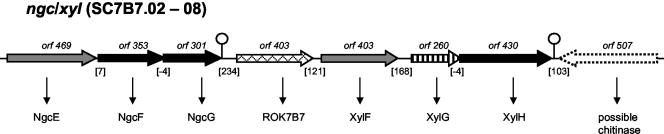 FIG. 3.