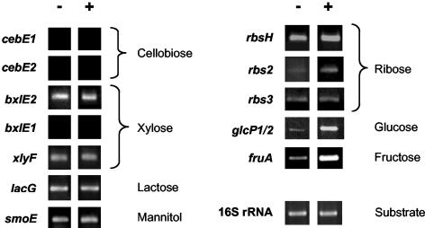 FIG. 6.