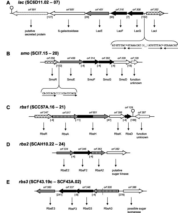 FIG. 4.