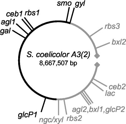 FIG. 7.