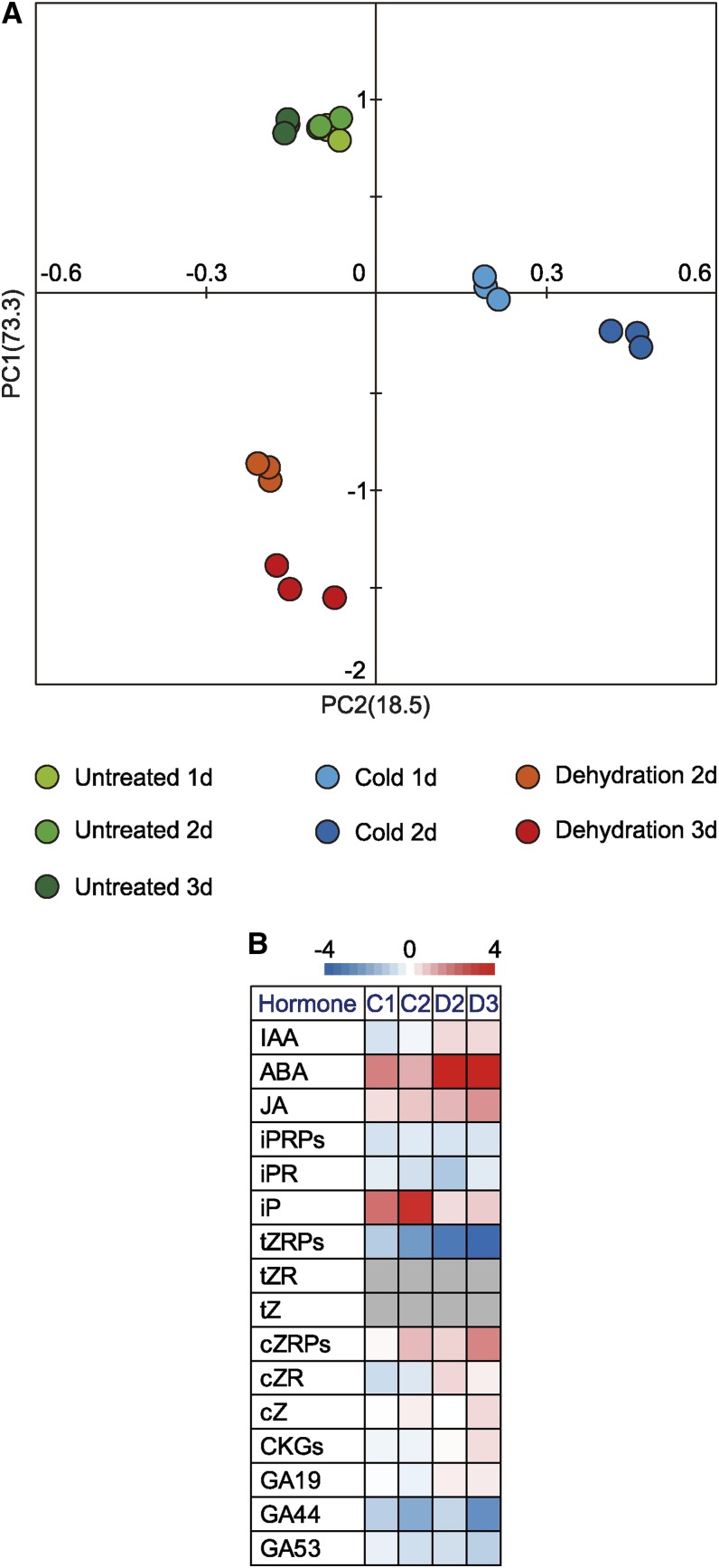 Figure 2.