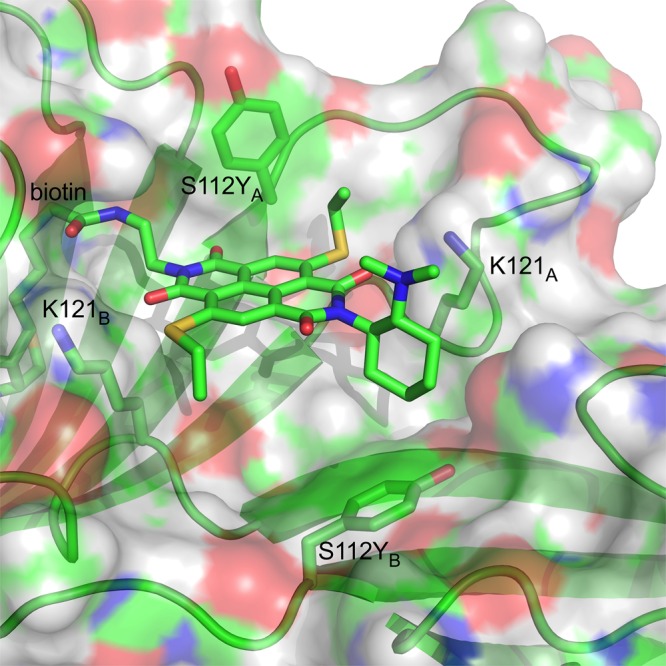 Figure 4