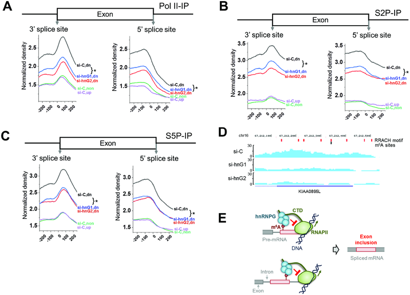 Figure 7: