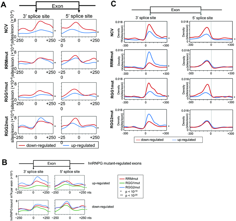 Figure 6: