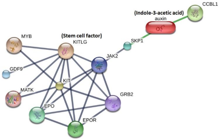 Figure 4