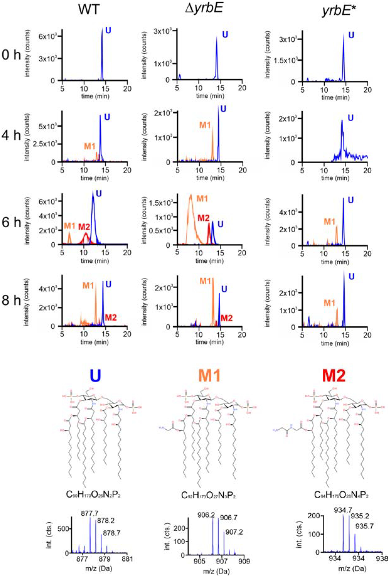 Figure 3.