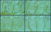 FIG. 5.