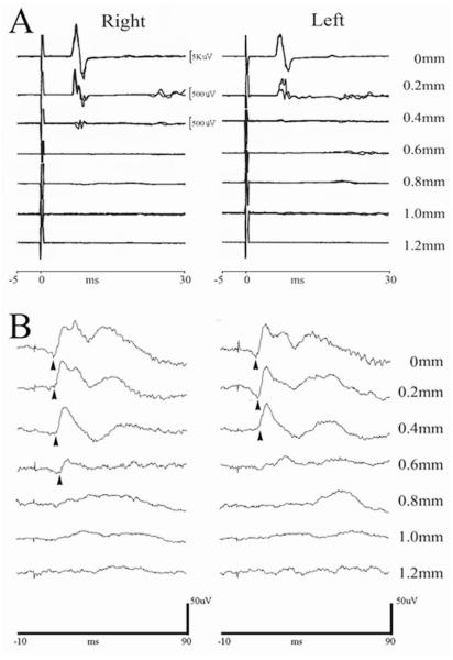 FIG. 6