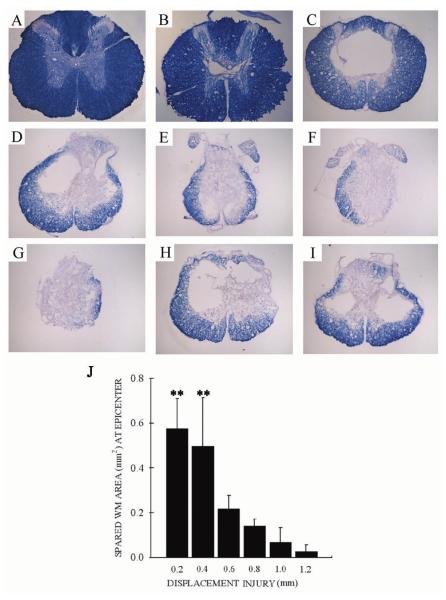 FIG. 7