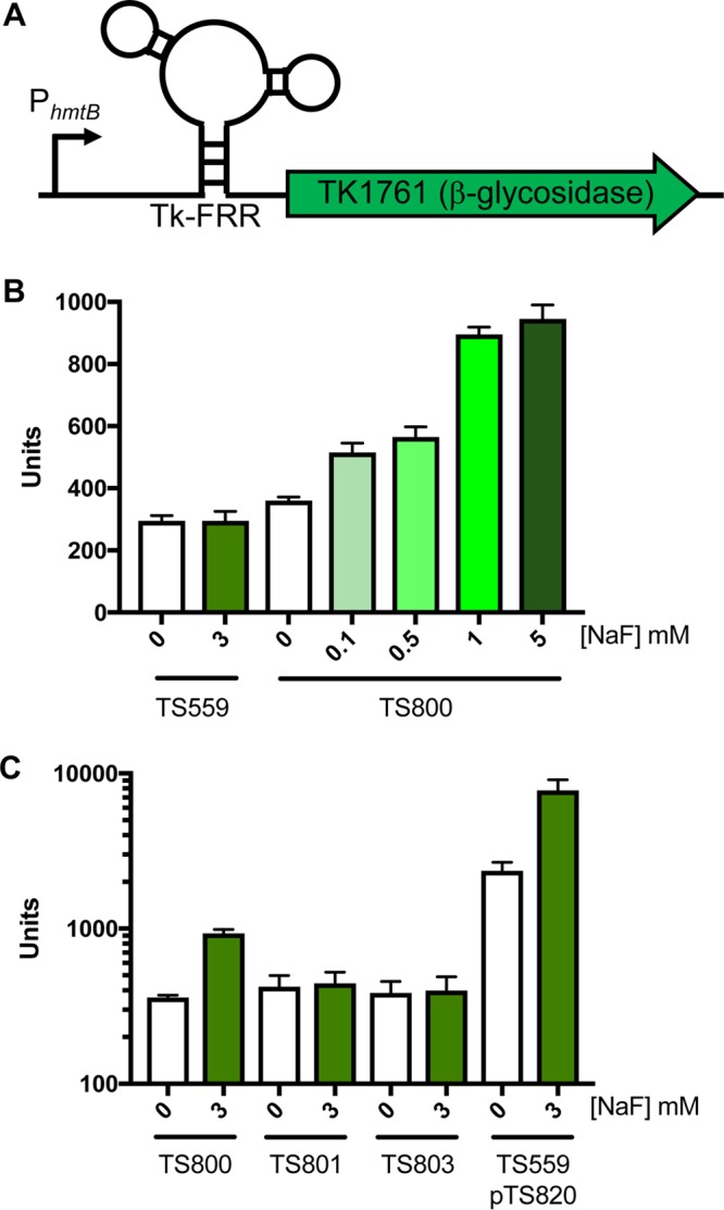 FIG 3