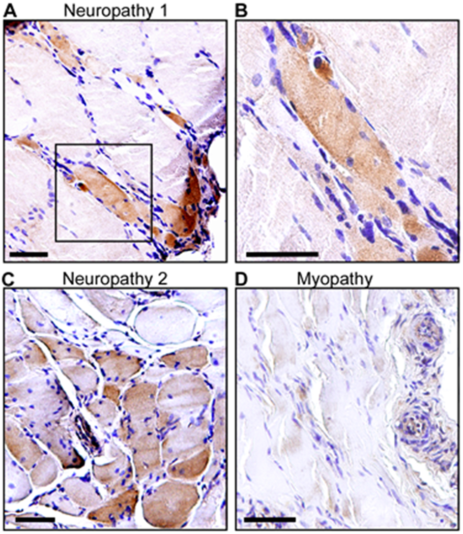 Figure 3: