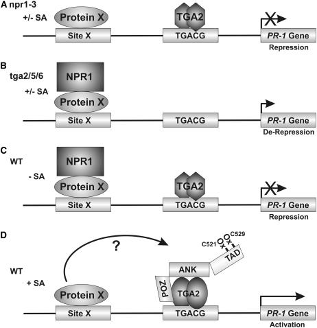 Figure 6.