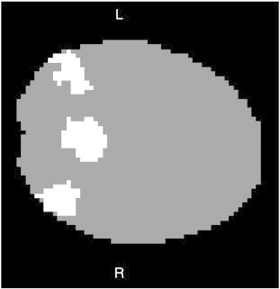 Fig. S1