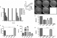 FIG 6