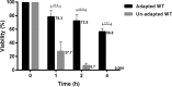 FIG 1