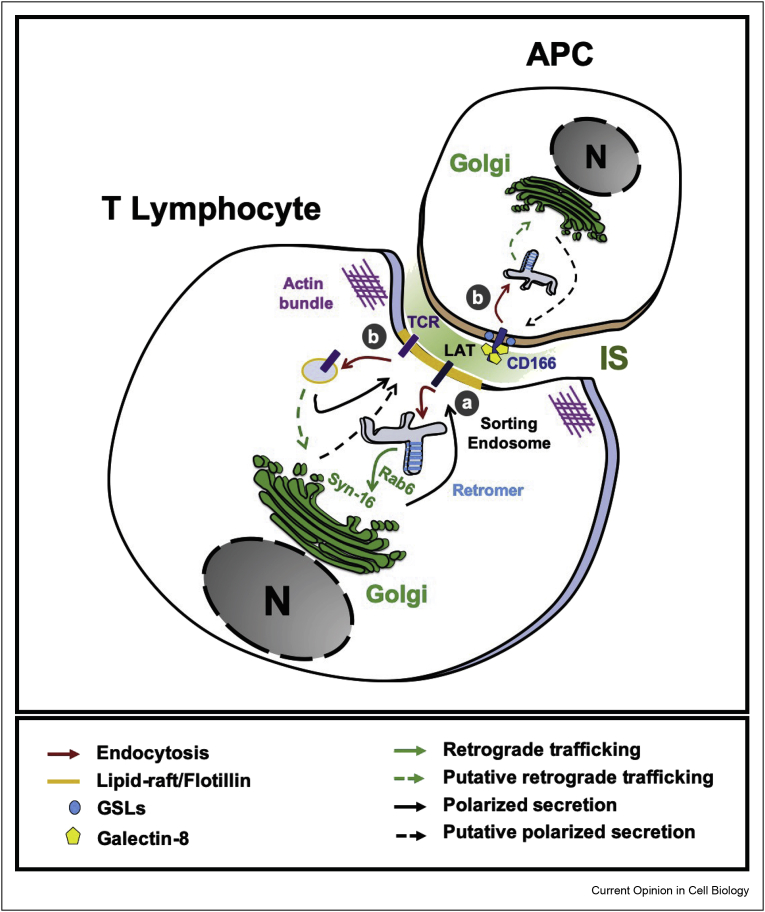 Figure 4