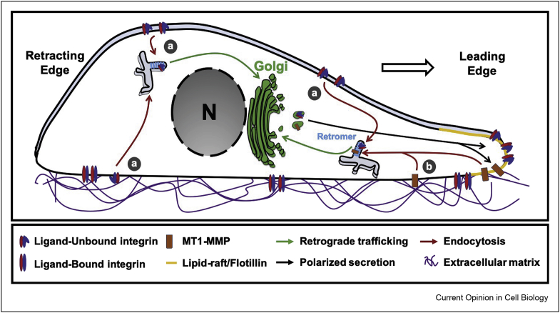 Figure 3