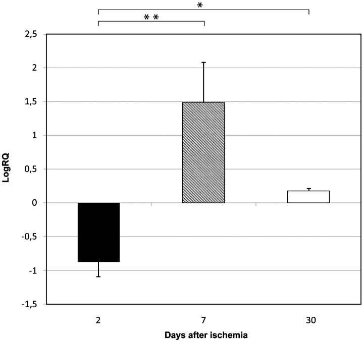 Fig.2