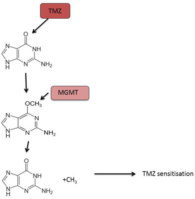 Figure 2.