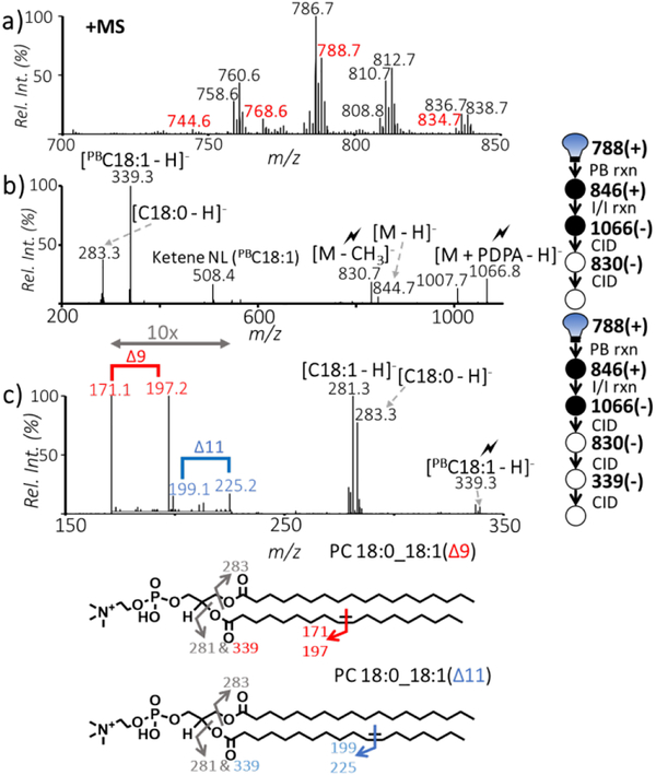 Fig. 3: