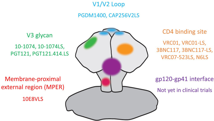 Figure 1