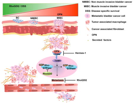 graphic file with name nihms810001u1.jpg