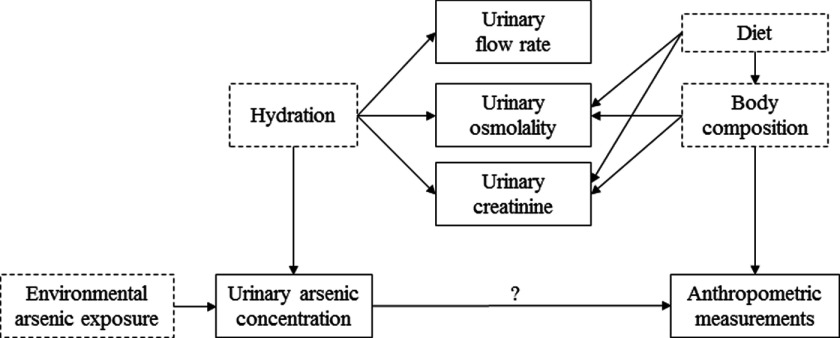 Directed acyclic graph